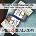Männliche Seidenraupenmotte, Die Orale Flüssigkeit Nährt 12